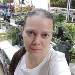 Оксана Чеботарева, 45 лет, Великий Новгород