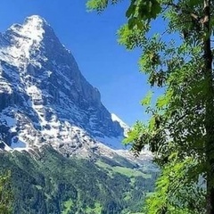 Алексей Орловский, Орёл