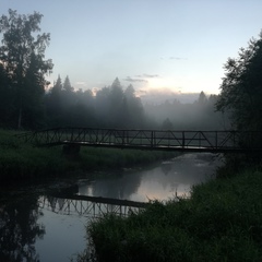 Влад Шибаев, Зеленоград