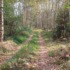 Мария Подьякова, Череповец