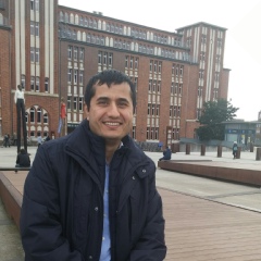 Farhad Haidari, Hamburg