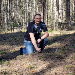Алексей Моисеев, 42 года, Казань