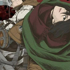 Mikasa Ackerman, 28 лет