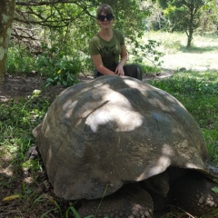 Марина Оскирко, 34 года, Минск