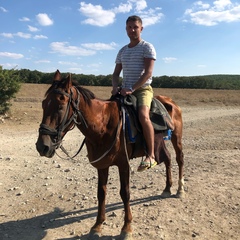 Александр Стрункин, 38 лет, Ставрополь