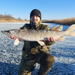 Дмитрий Саталкин, Тамбов