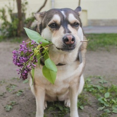 Елена Валюк