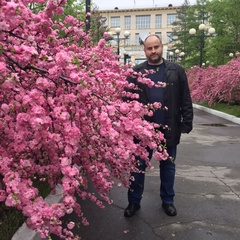 Сергей Синельников, 39 лет, Хабаровск