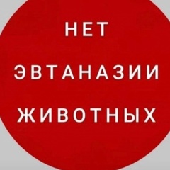 Kir Ra, Калининград