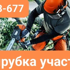 Олег Симонов, 37 лет, Череповец