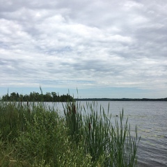 Анатолий Грабер, Toronto