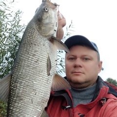 Александр Зубарев, 44 года, Гомель