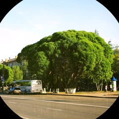 Стефания Растворова, Москва