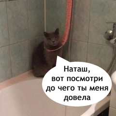 Люсьена Заварицкая, Санкт-Петербург