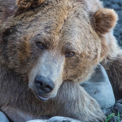 Андрей Ходин, 43 года, Санкт-Петербург