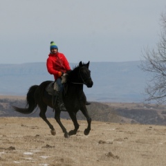 Павел Морозов, 37 лет, Москва