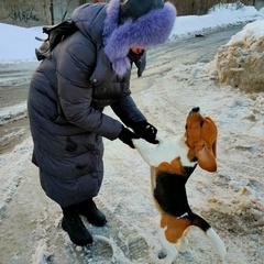 Наталь Сан