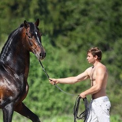 Сергей Шепелев, 40 лет, Санкт-Петербург