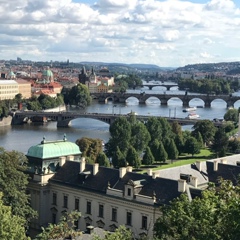 Анара Исламова, Stuttgart