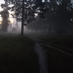 Евгений Дымок, Воскресенск