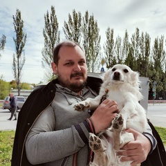 Андрей Гусев, 36 лет, Москва