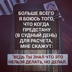 Азамат Алибеков, 32 года, Алматы