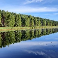 Ольга Николаёнок, Минск