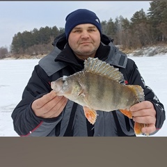 Сергей Мардаровский, Серов