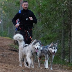 Денис Сухоруков, 36 лет, Санкт-Петербург