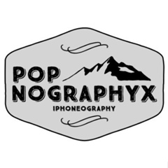 Popnographyx Lens, Санкт-Петербург