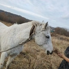 Оксана Кузнецова, 51 год