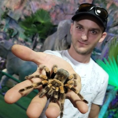 Коля Дюженко, 33 года, Темиртау