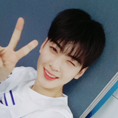 Cha Eunwoo