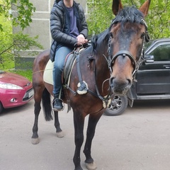 Павел Секриер, Москва