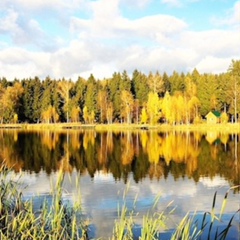 Борис Отделкин, Санкт-Петербург