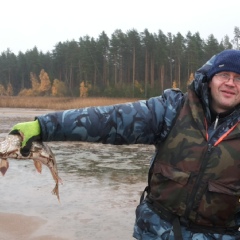 Александр Ганёв, 45 лет, Санкт-Петербург