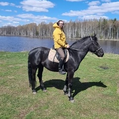 Никита Молчанов, 35 лет, Москва