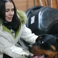 Светлана Карпова, 32 года, Екатеринбург