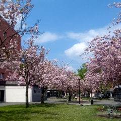 Julia Logatschew, Berlin