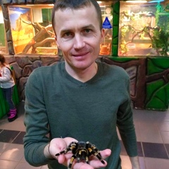 Ринат Абраров, Казань