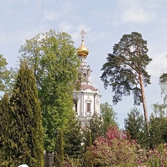 Елена Ларина, Москва