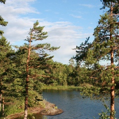 Наталия Миронова, Санкт-Петербург