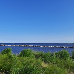 Татьяна Кривонос, Санкт-Петербург