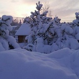 Евгений Шупрута, Санкт-Петербург