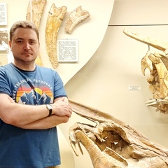 Владислав Головизин