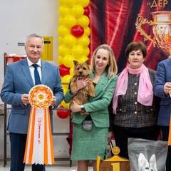 Оксана Курина, 41 год, Нижний Новгород