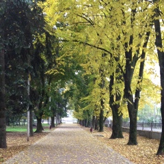 Роза Тохтарова, Москва