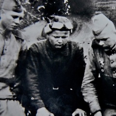 Олег Снигирев, 40 лет, Сочи