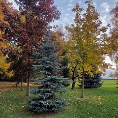 Людмила Захарова, Санкт-Петербург