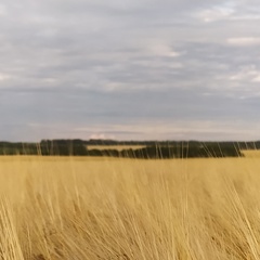 Ренат Овсянников, Москва